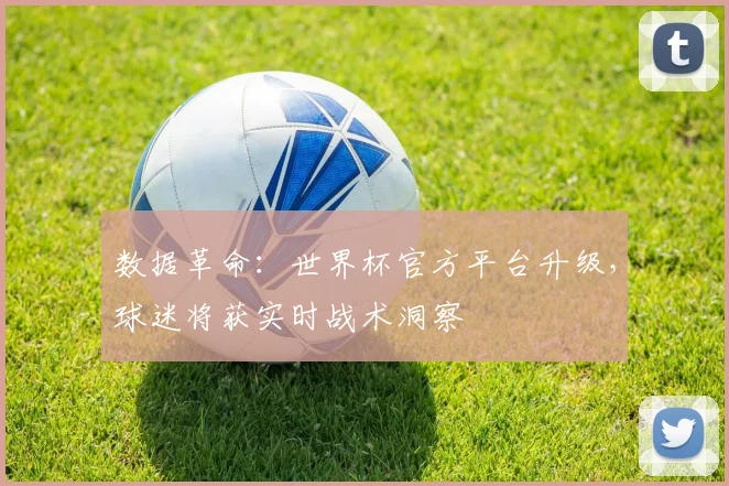 数据革命：世界杯官方平台升级，球迷将获实时战术洞察