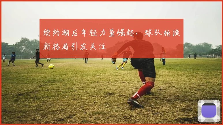 续约潮后年轻力量崛起，球队轮换新格局引发关注